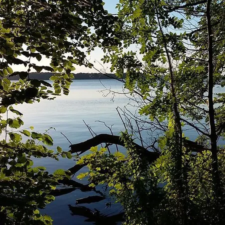 Am Schweriner Raben Steinfeld