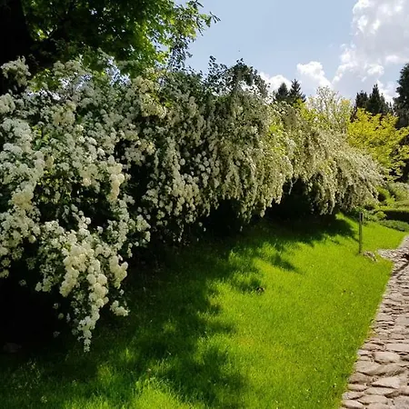 Am Schweriner Lejlighed